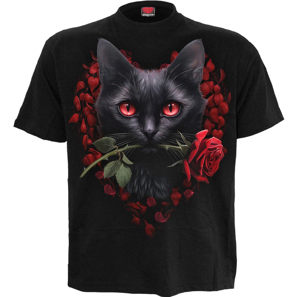 Cat's Love