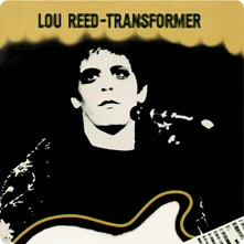 Vinyl Transformer