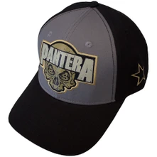 Pantera, Šiltovka Skull, Unisex, Šedá