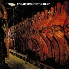 CD BAND- - EDGAR BROUGHTON BAND