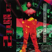 Strictly 4 My N.I.G.G.A.Z. (2LP ) thumbnail