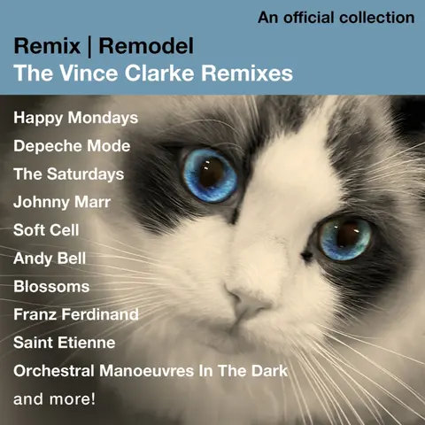 REMIX/REMODEL - THE VI...