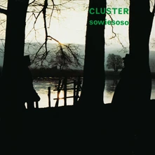 Cluster, Vinyl SOWIESO (50TH ANNIVERS...