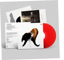 Vinyl BLACK ANTLERS