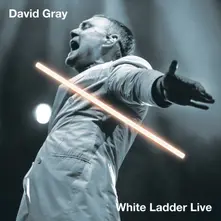 Vinyl WHITE LADDER LIVE