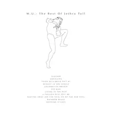 Jethro Tull, Vinyl M.U. - THE BEST OF JETHRO TULL