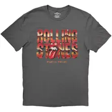 Unisex T-Shirt: 3D Foreign Tongues Logo (Charcoal Grey) thumbnail