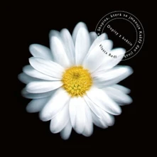 Vlasta Redl, CD Dopisy Z Květin (20th Anniversary Edition)
