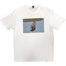 Resurface 2023 Tour Dates thumbnail
