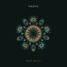 CD WIDE AWAKE