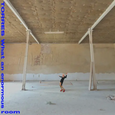 TORRES – Vinyl WHAT AN ENORMOUS ROOM