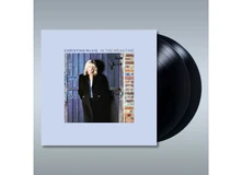 Vinyl IN THE MEANTIME