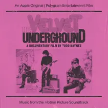 Velvet Underground: Documentary Film By Todd Hayne thumbnail