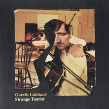Gareth Liddiard, Vinyl STRANGE TOURIST