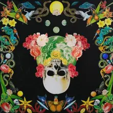 Hippie Death Cult, Vinyl Helichrysum