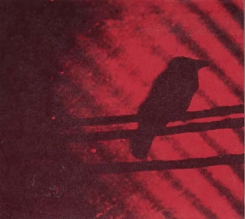 A Silver Mt. Zion – BORN INTO TROUBLE AS THE SPARKS FLY UPWARD (Vinyl)