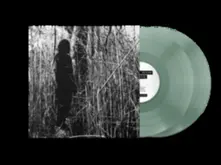 Vinyl TODAY, I WROTE NOTHING