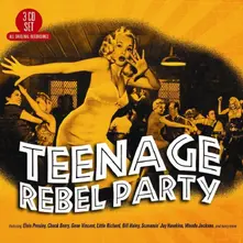TEENAGE REBEL PARTY thumbnail
