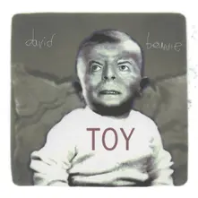 Vinyl TOY