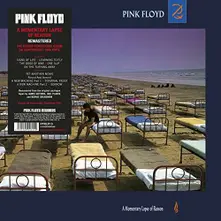 Pink Floyd, Vinyl A Momentary Lapse of Reason