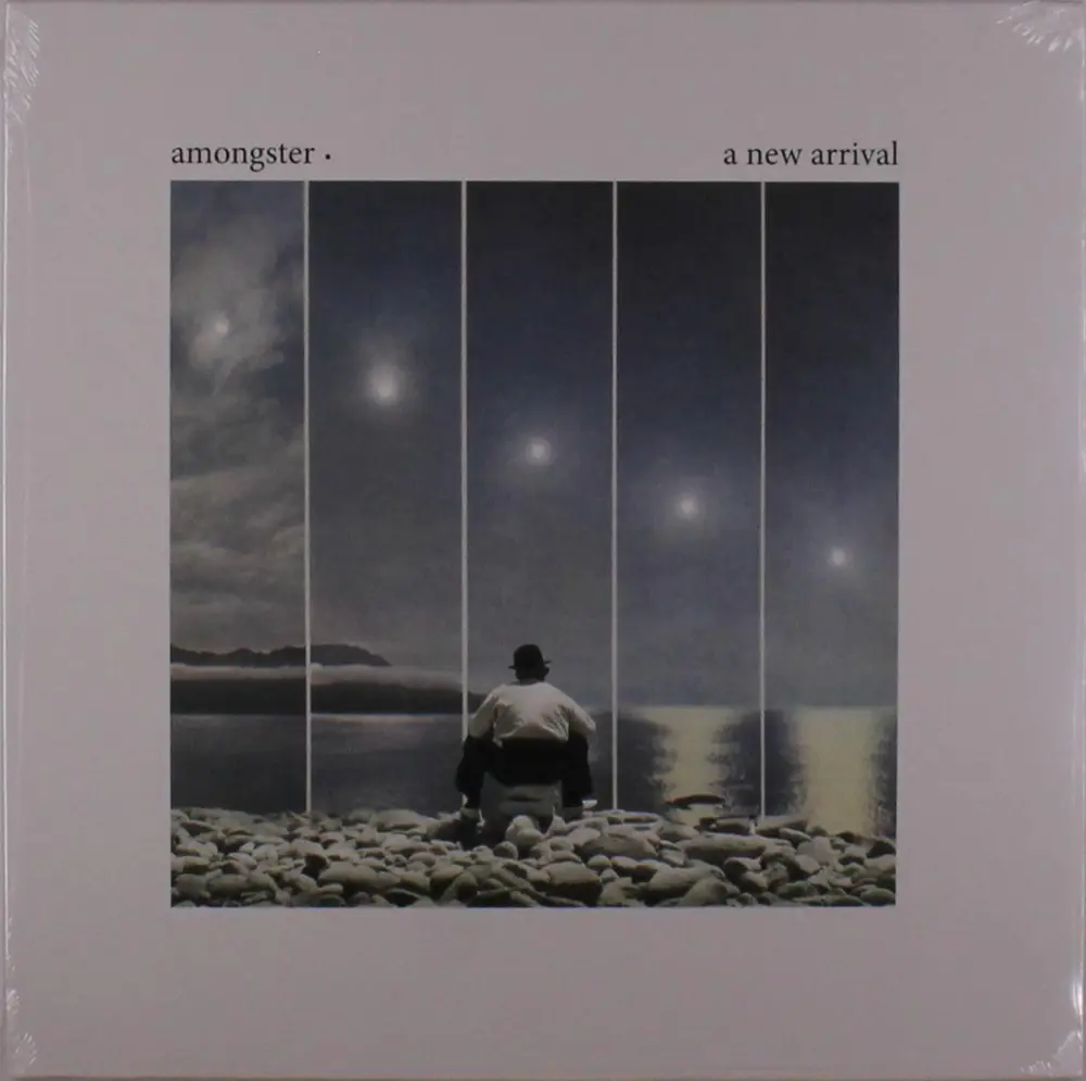 Amongster – A NEW ARRIVAL (Vinyl)