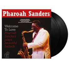 Vinyl Welcome To Love