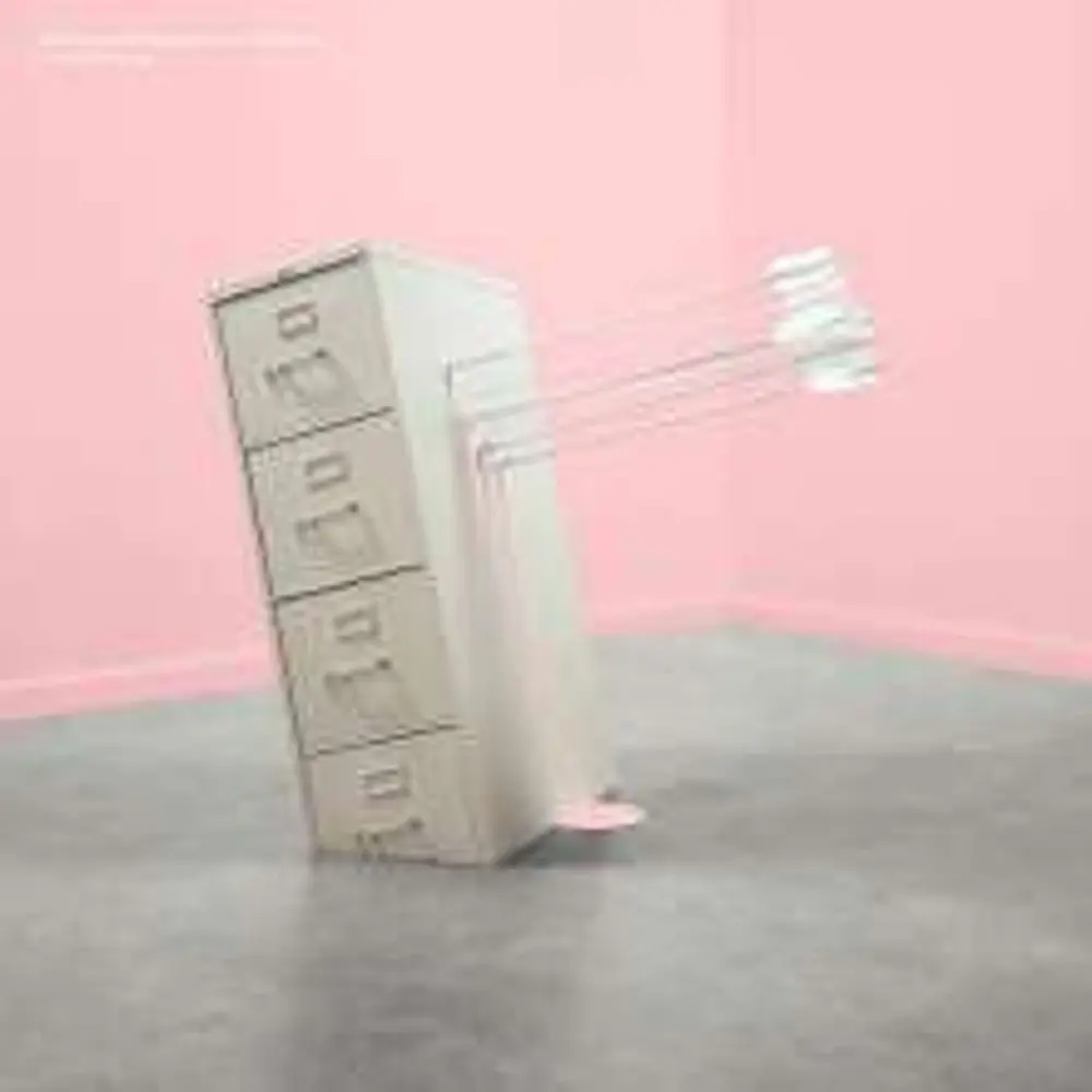 Modest Mouse – Good News For People Who Love Bad News (Deluxe Edition) (Vinyl)