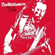 Vinyl BEST OF LIVE