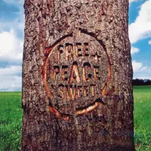 Dodgy – Free Peace Sweet (Vinyl)