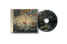 CD MAYBE MAN