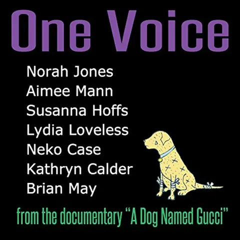 ONE VOICE - FROM THE D...