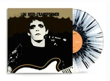 Vinyl Transformer