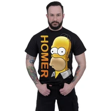 Homer Portrait thumbnail