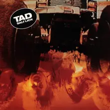 TAD - SALT LICK thumbnail