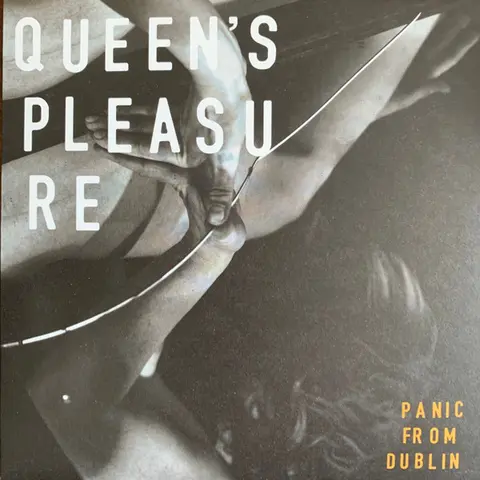 Panic From Dublin (7" Vinyl)