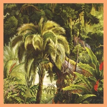 Vinyl LA FORET