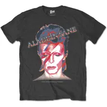 Aladdin Sane