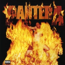 Pantera, Vinyl REINVENTING THE STEEL