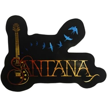 Nálepka Sticker: Guitar & Birds