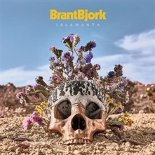 Brant Bjork and the Bros, Vinyl JALAMANTA