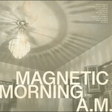 Magnetic Morning, Vinyl A.M.