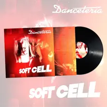 Vinyl DANCETERIA