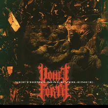 Vinyl Seething Malevolence