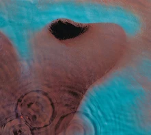 CD Meddle
