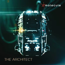eMolecule, Vinyl The Architect