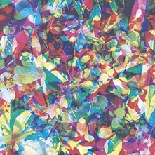 Caribou, CD Caribou - Our Love