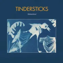CD DISTRACTIONS