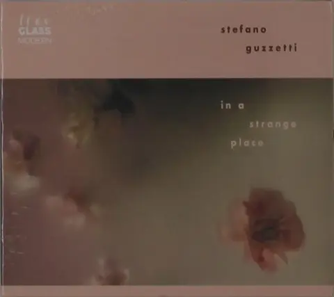 IN A STRANGE PLACE
