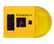 Pinegrove – EVERYTHING SO FAR (Vinyl)