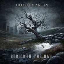 Dom Martin, Vinyl BURIED IN THE HAIL
